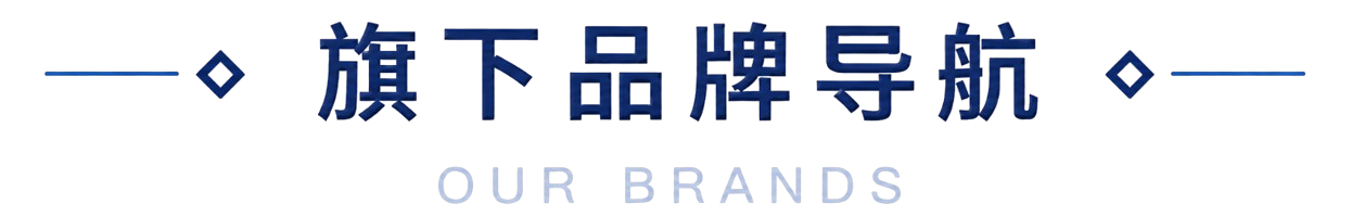 集团旗下平台